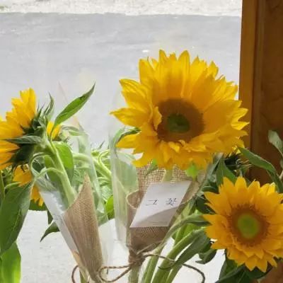 bet体育365投注官网